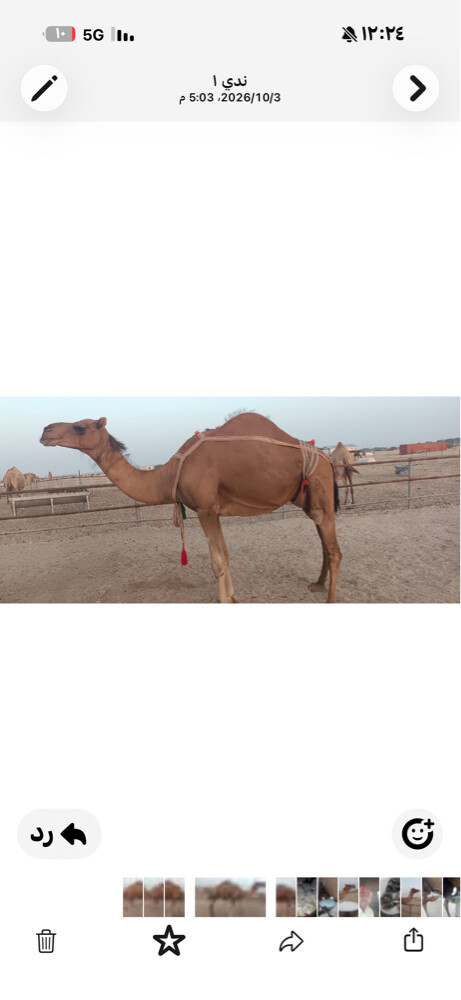 خلفه طيبه - 2