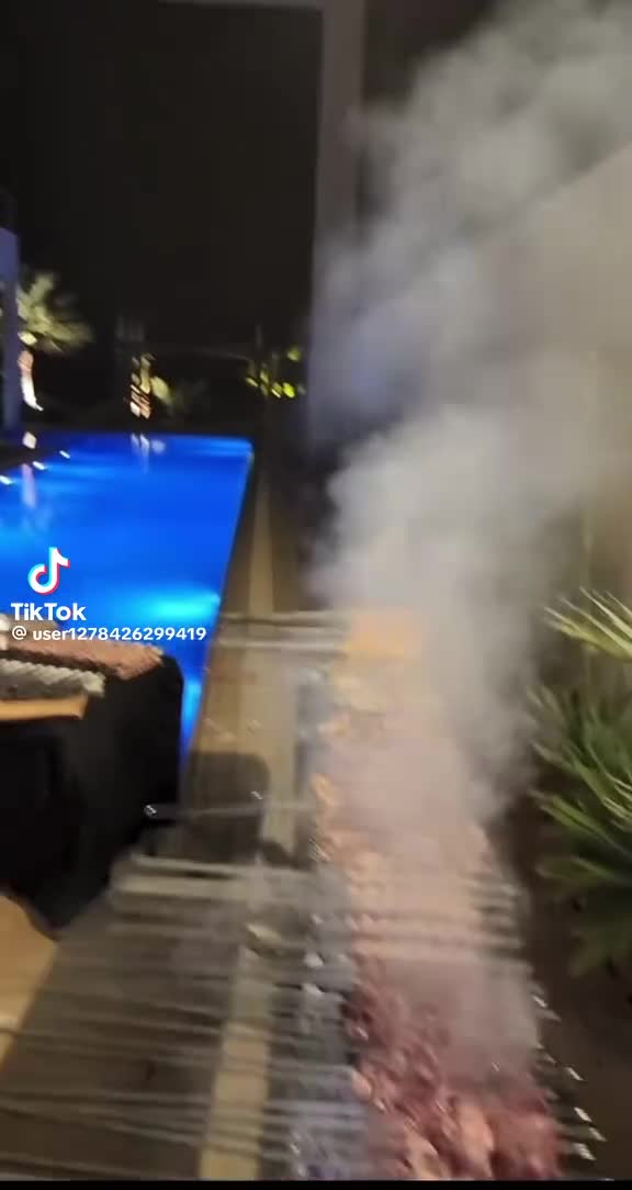 شيف - 7