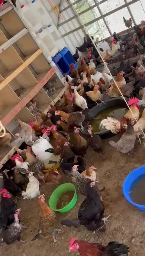 سعر ممتاز للبيع - 1