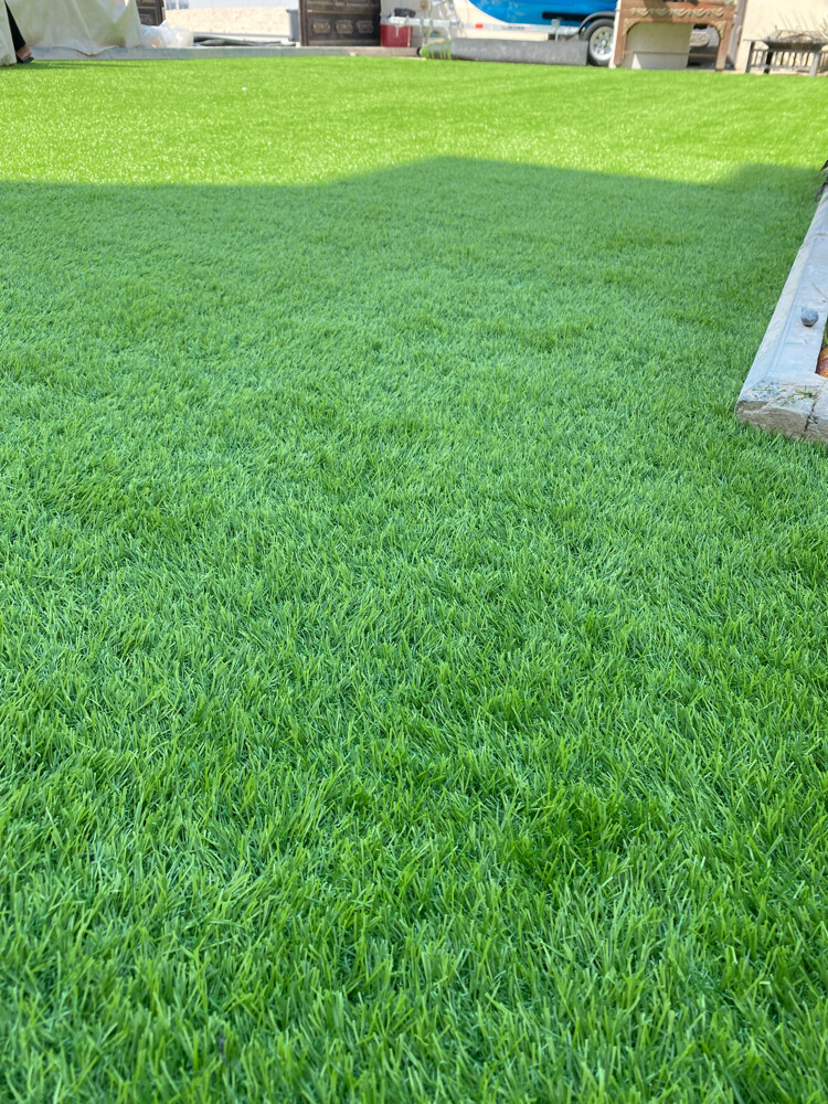 green carpet - 2