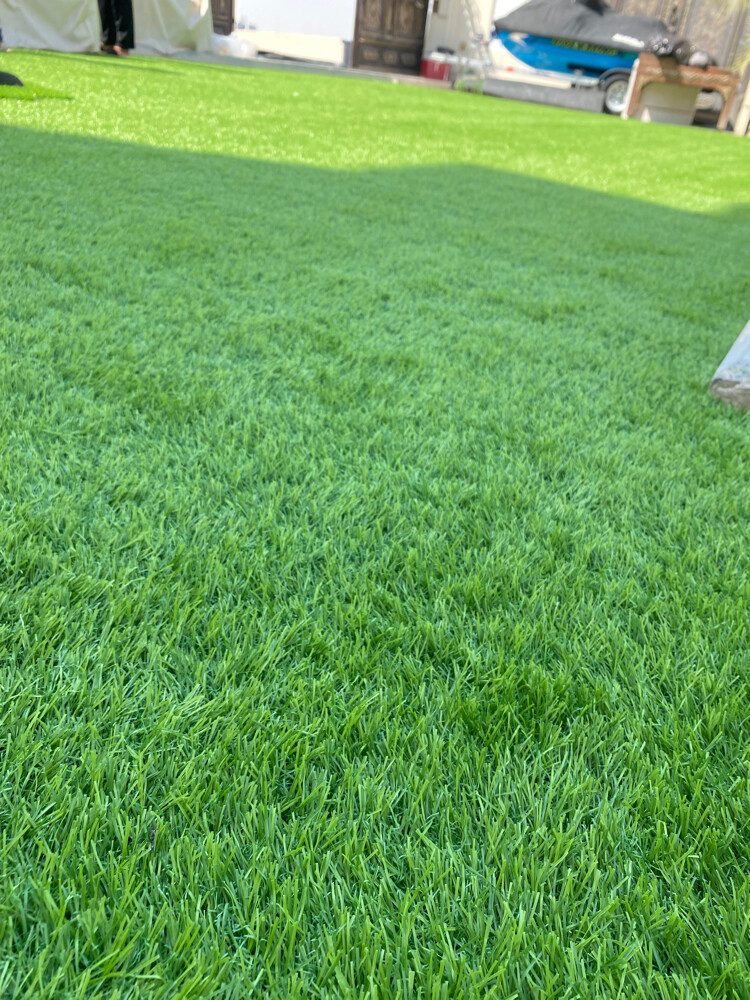 green carpet - 8