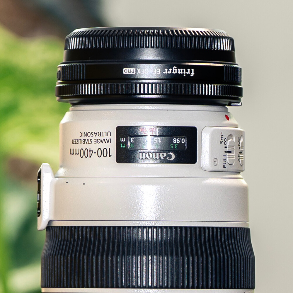Canon 100-400 LISIIUSM+GF adapter  - 2