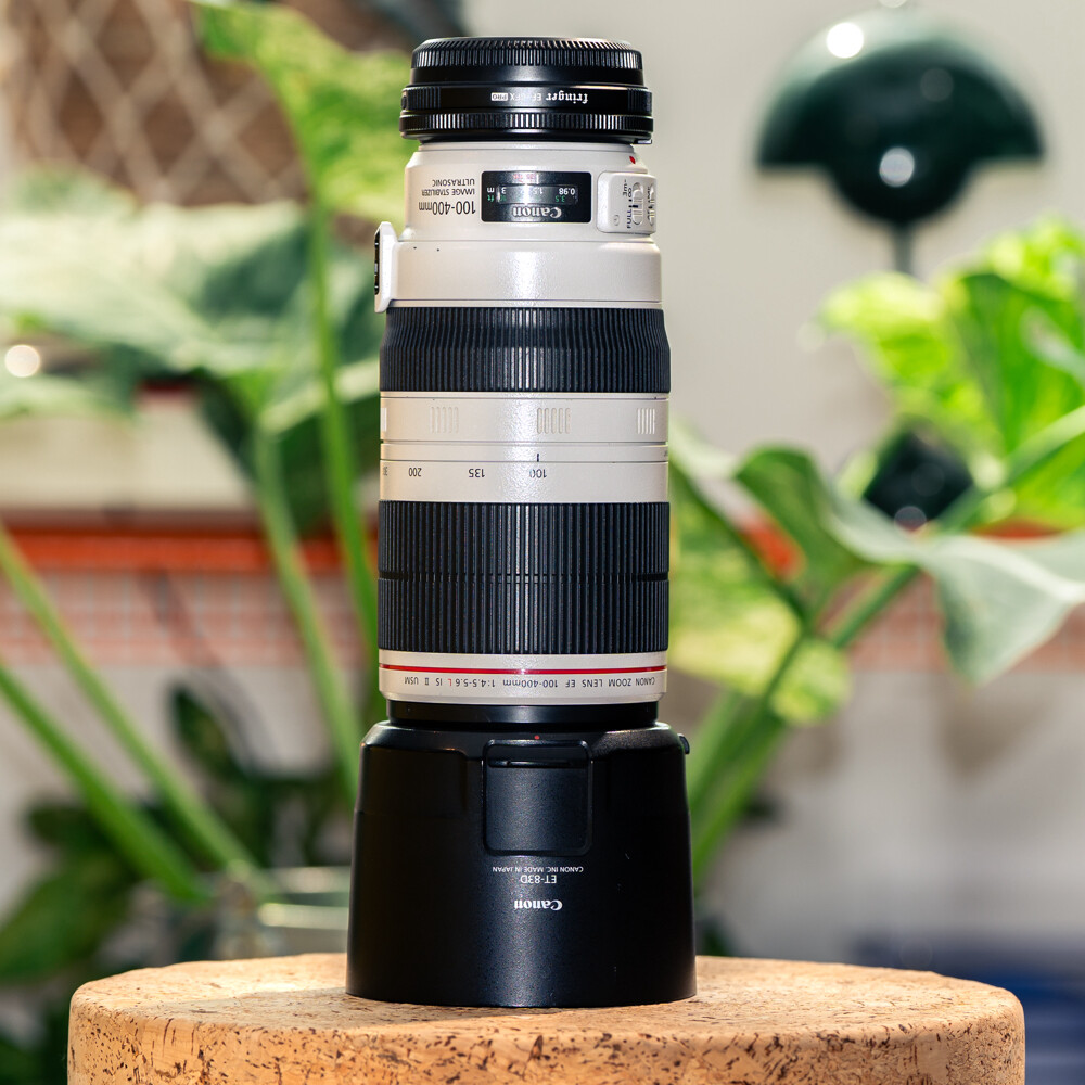 Canon 100-400 LISIIUSM+GF adapter  - 1