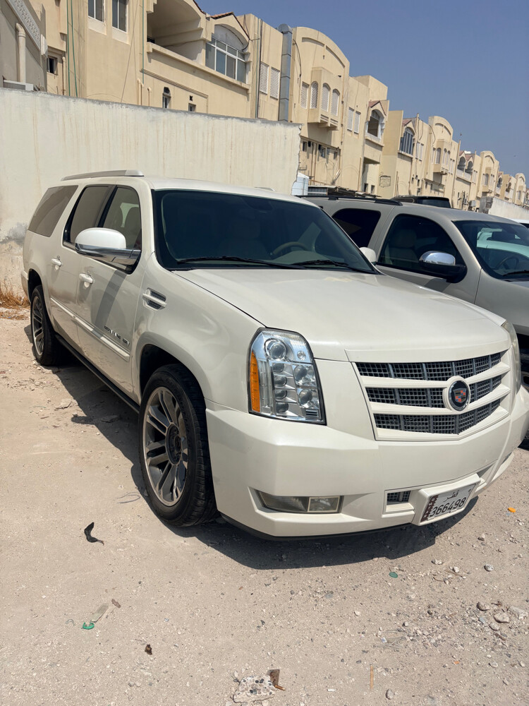 سكاليد ٢٠١٣ طويل - 2