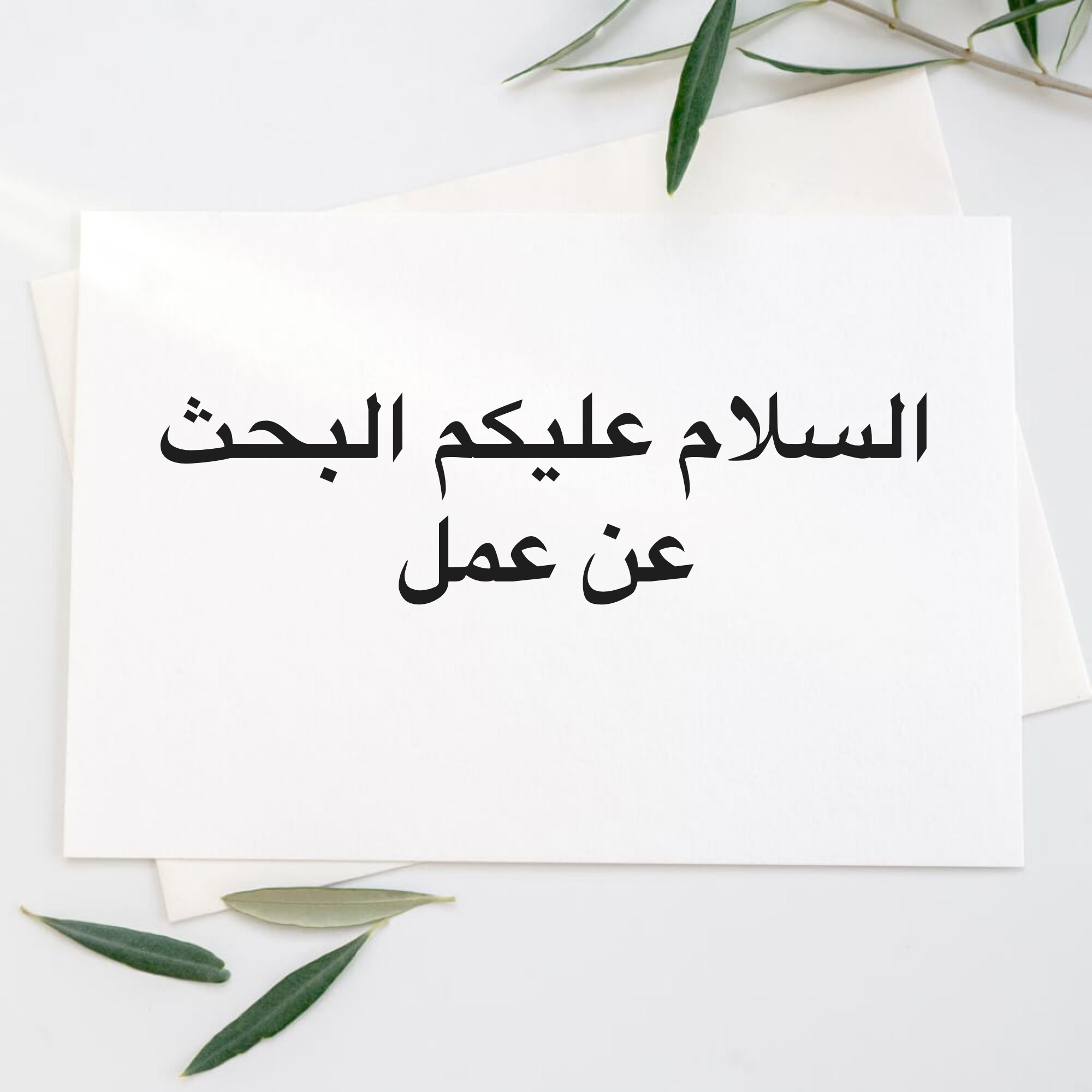 الضوابط - 1
