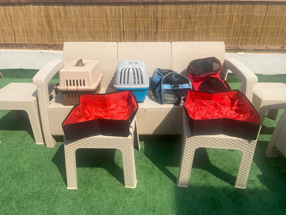 Pet Carriers + Litter Boxes (Cats) - 1