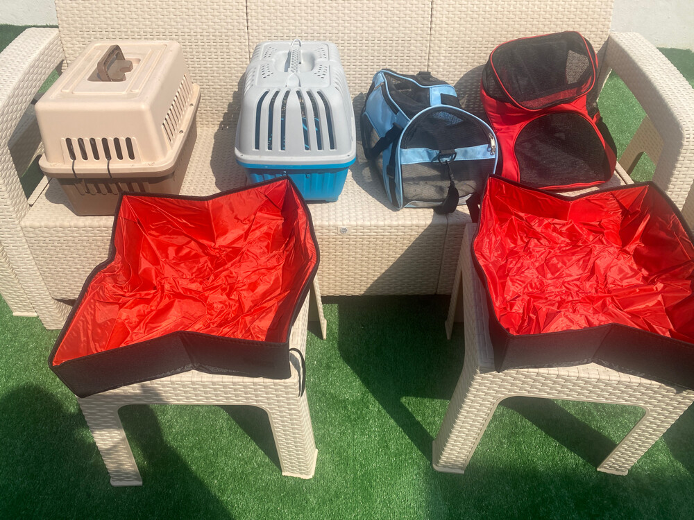 Pet Carriers + Litter Boxes (Cats) - 2