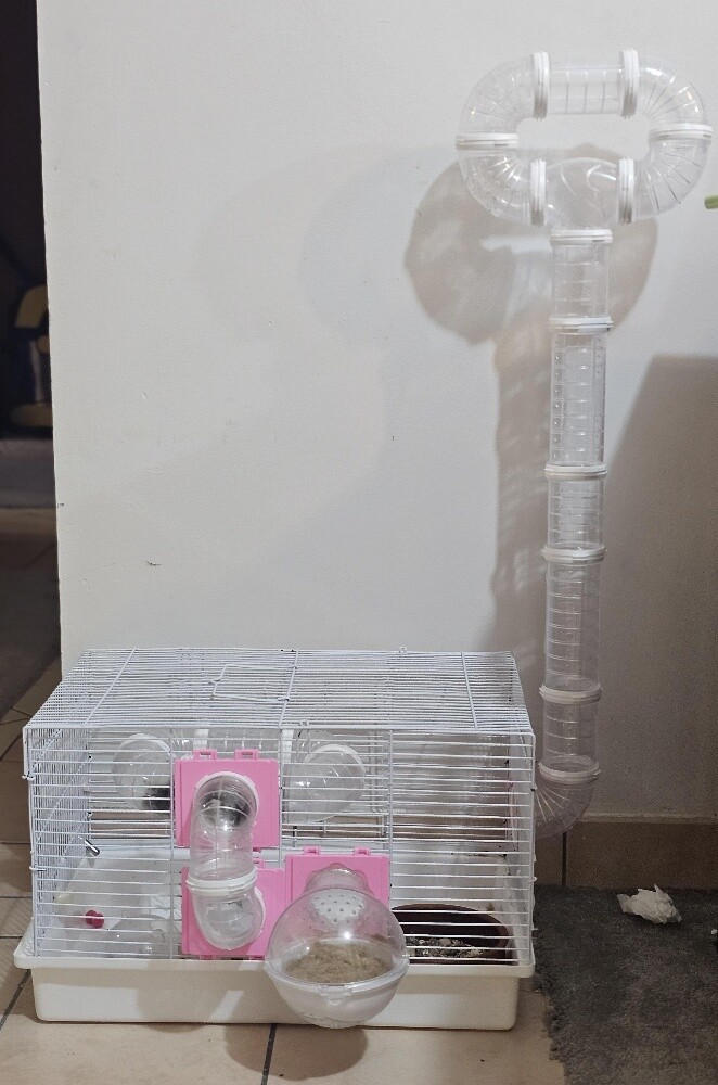 hamster cage - 3