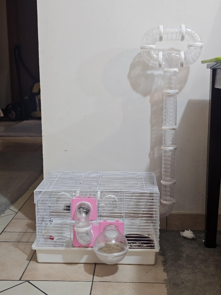 hamster cage - 1