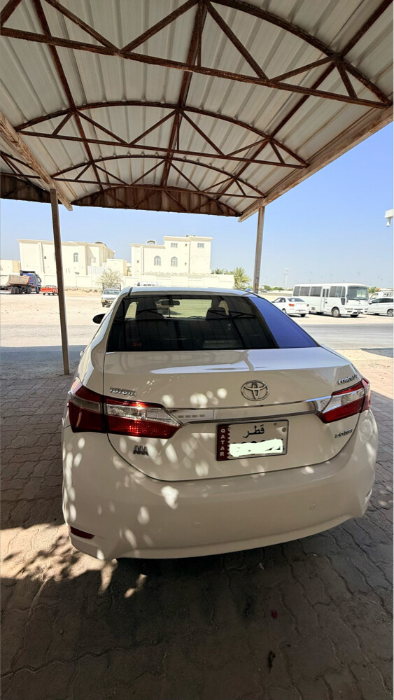 corolla - 6