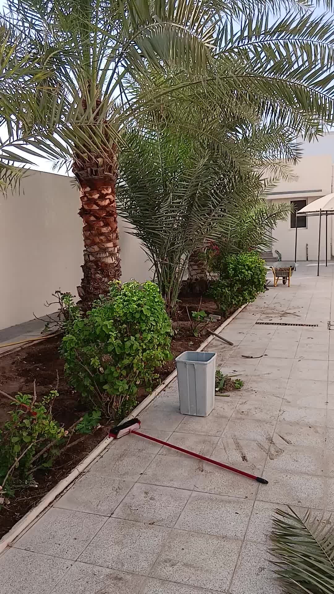 تنظيف وتسميد - 1