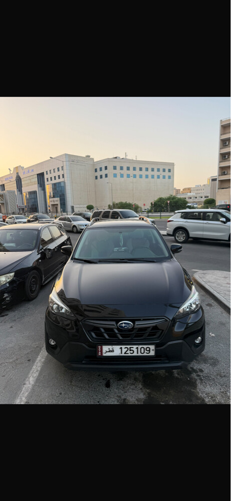 55404278 - 6