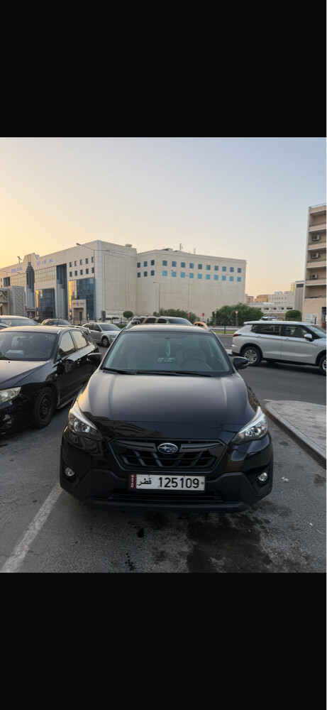 55404278 - 8