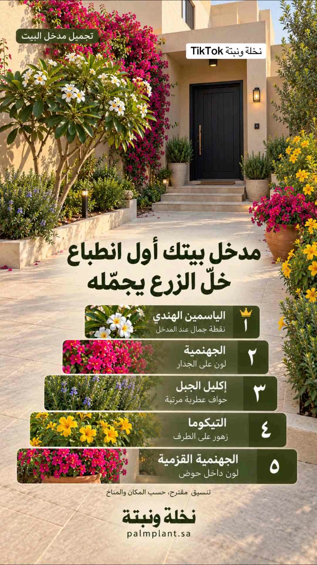 ايش رايك تاخذ فكره - 1