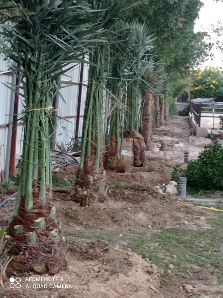 مزارع ومنسق حدائق  - 2
