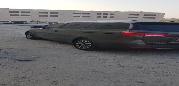 Kia Carnival 2016 Model (33043755) - 3