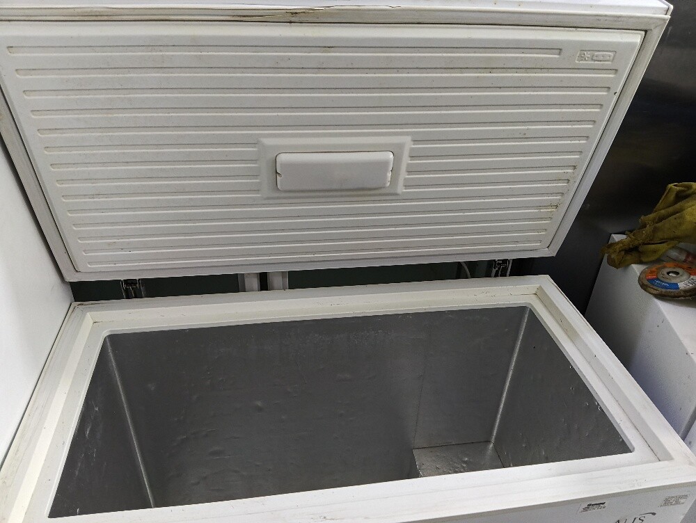 ALIS CHEST FREEZER - 1