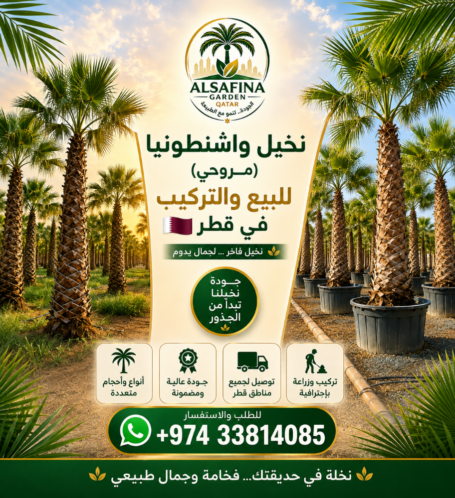 Washingtonia and date palm tree - 5