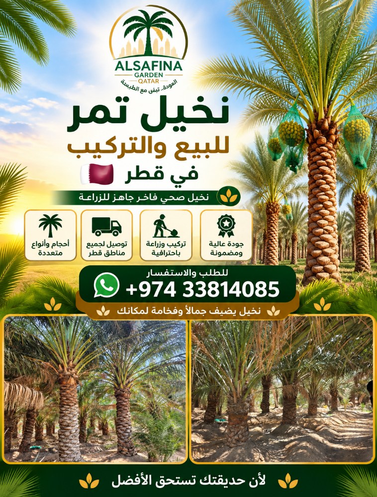 Washingtonia and date palm tree - 2