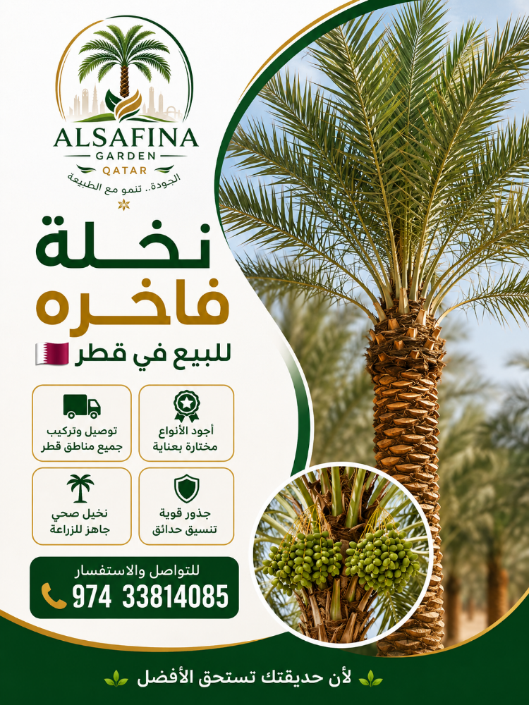 Washingtonia and date palm tree - 11