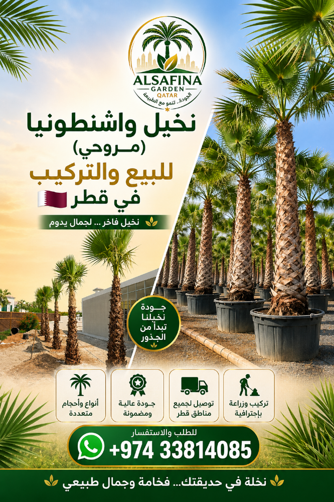 Washingtonia and date palm tree - 6