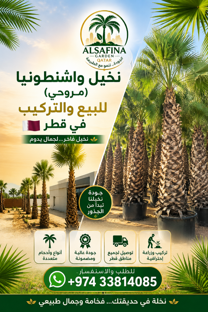 Washingtonia and date palm tree - 4