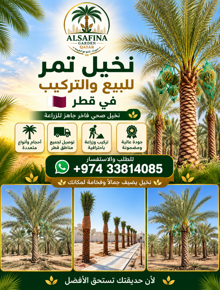 Washingtonia and date palm tree - 3