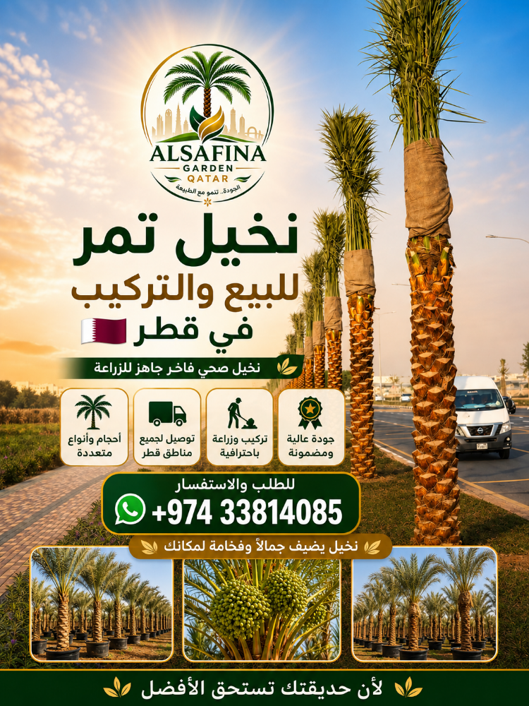 Washingtonia and date palm tree - 7