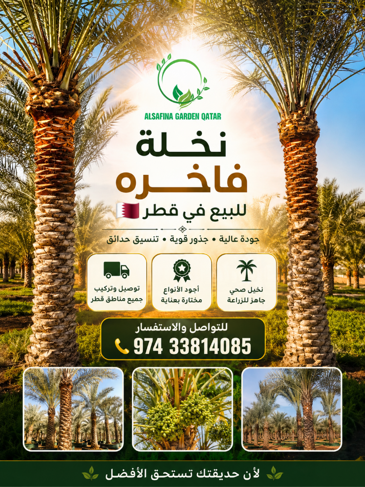 Washingtonia and date palm tree - 8