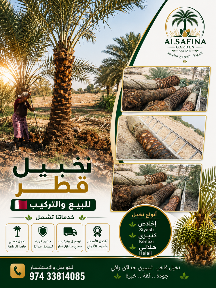 Washingtonia and date palm tree - 9