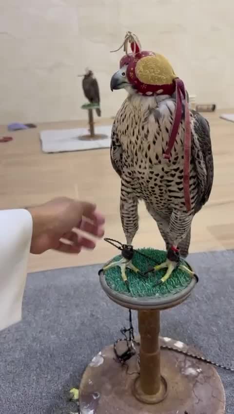 للبيع  - 1