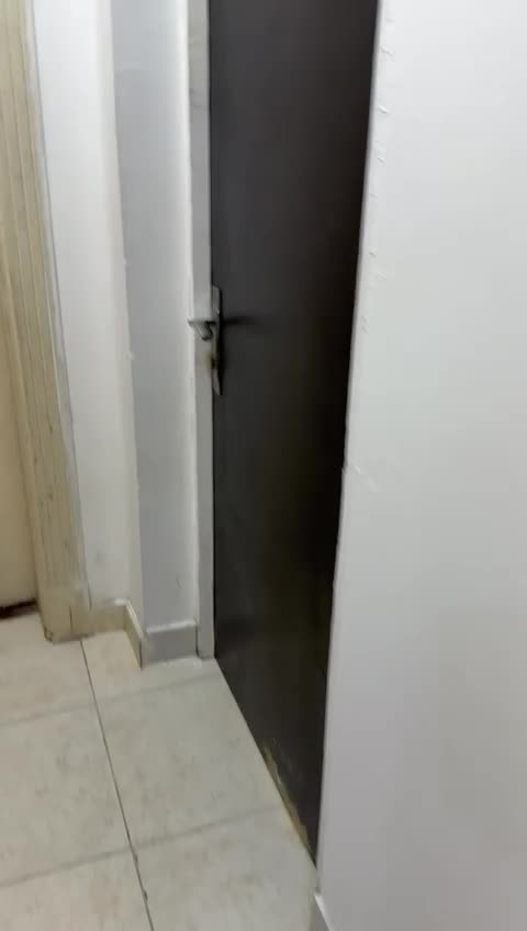 ستديو مفروش بازغوى  - 1