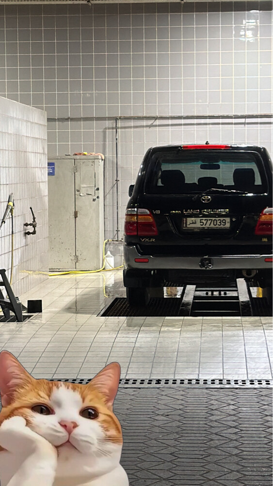 LAND CRUISER VXR 1999 - 6