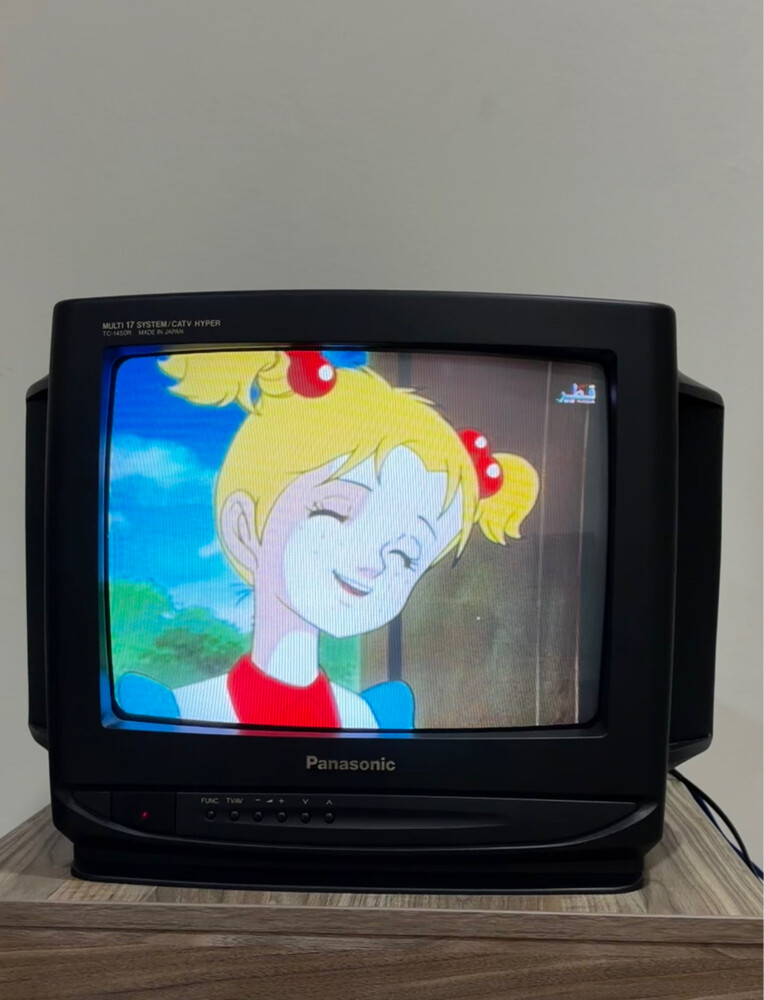 TV Panasonic Classic Japanese - 17