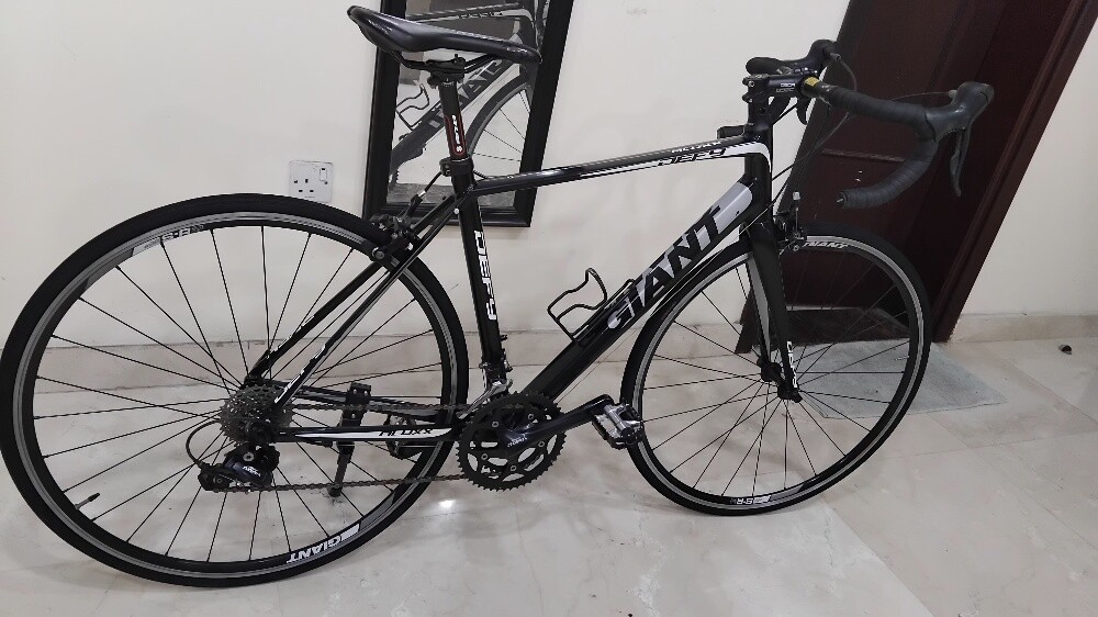 Giant Defy Roadbikes - 1