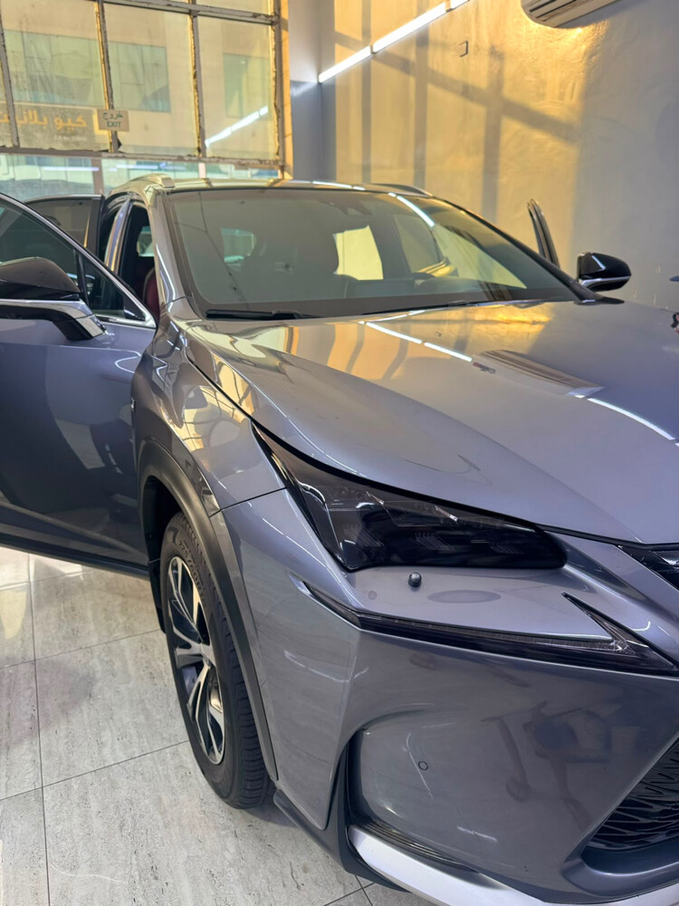     Lexus NX 200t F Sport | 2015 - 1
