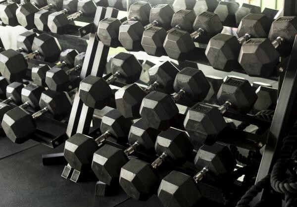 Premium Gym Equipment & Accessories - 3