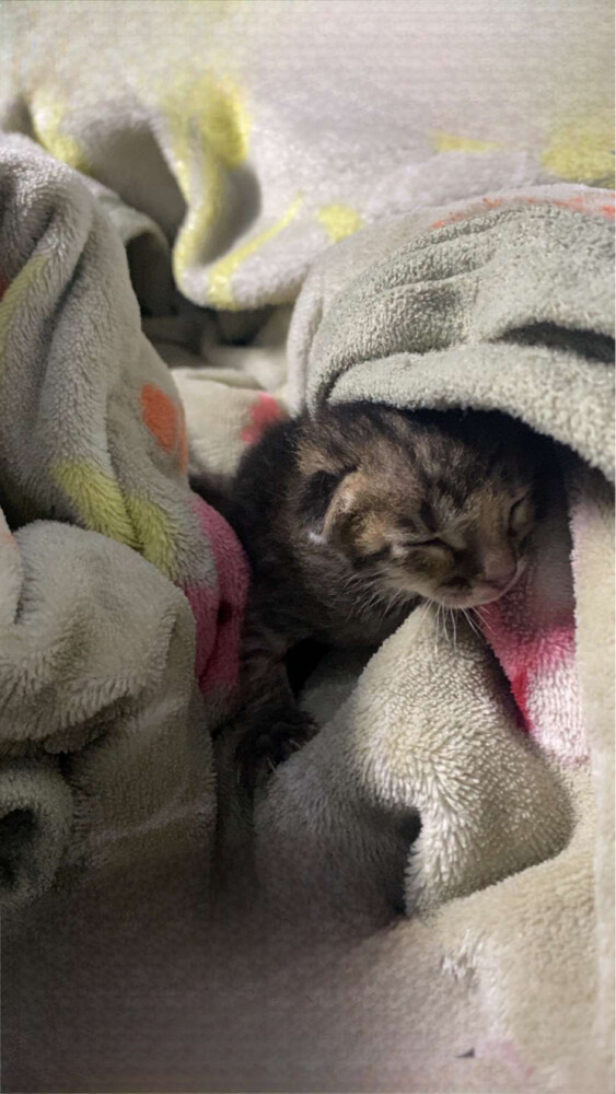 URGENT HELP - 1
