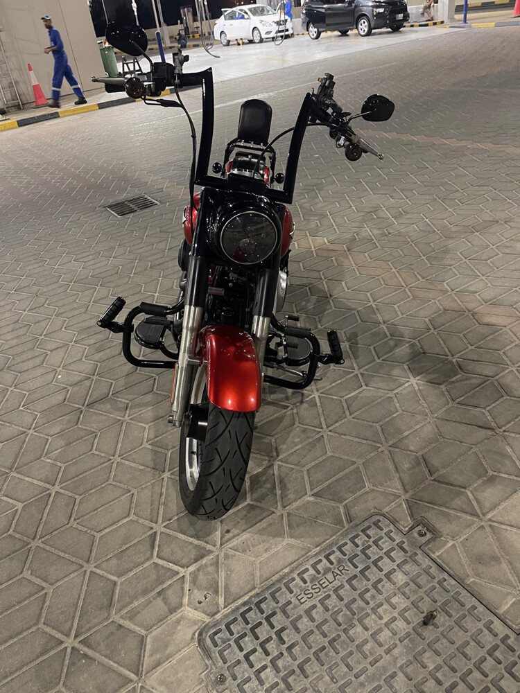 Harley Davidson Fatboy 2013 - 5