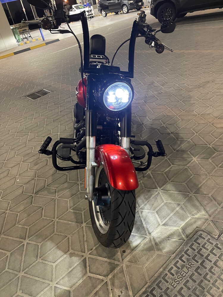 Harley Davidson Fatboy 2013 - 6