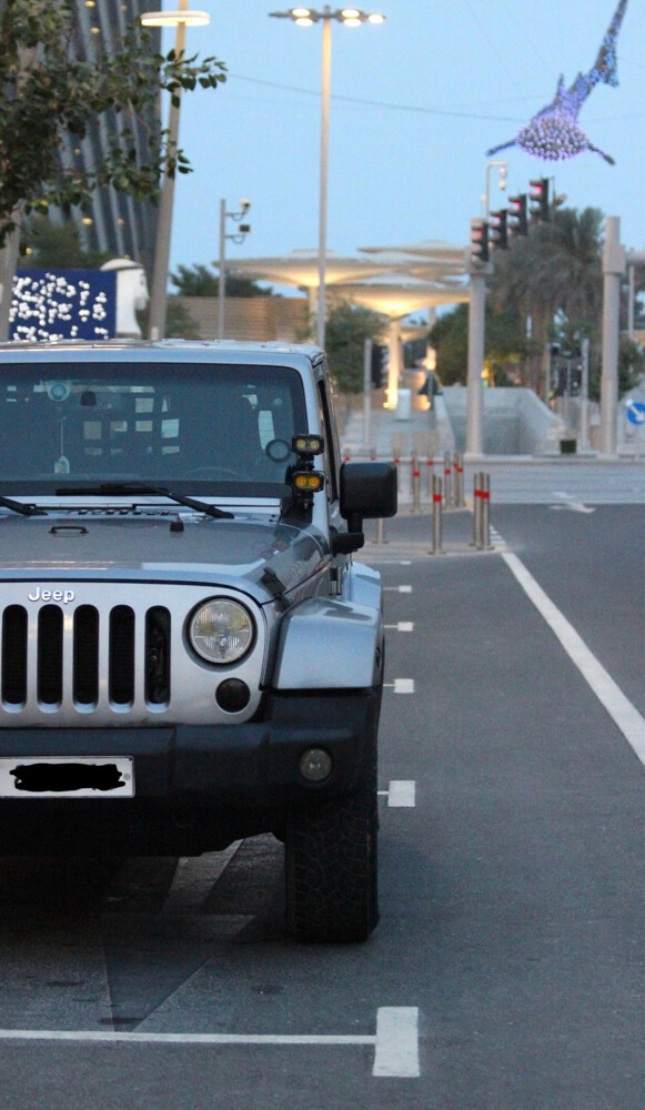 Jeep Wrangler Sahara - 3