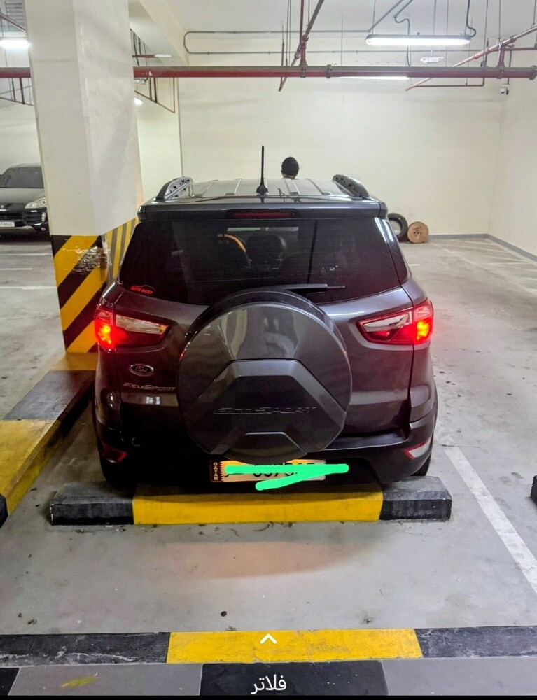 ford echo sports 2020 - 1
