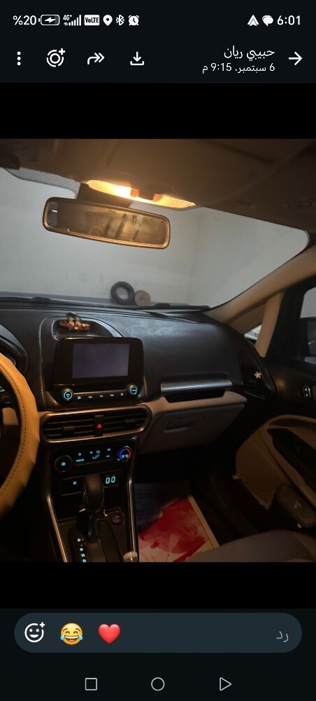 ford echo sports 2020 - 6