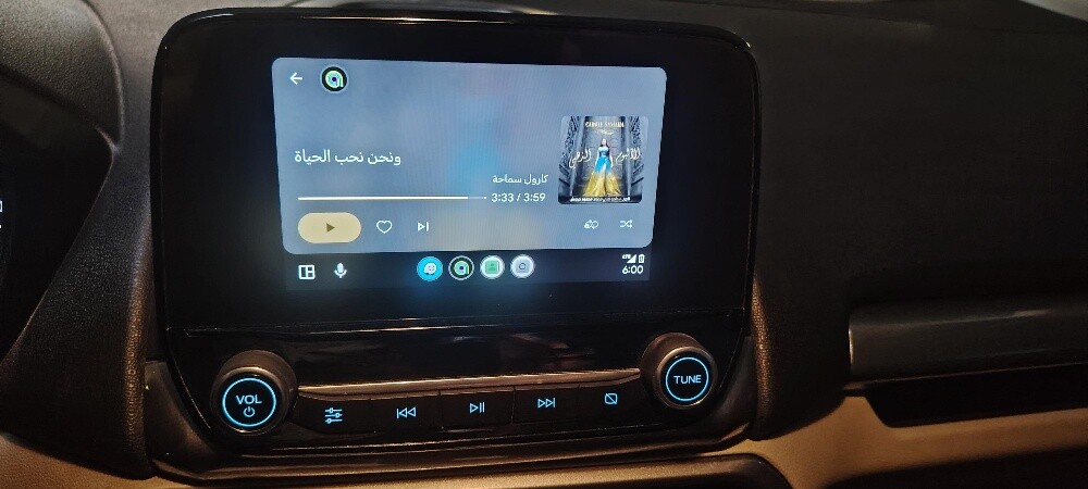 ford echo sports 2020 - 9