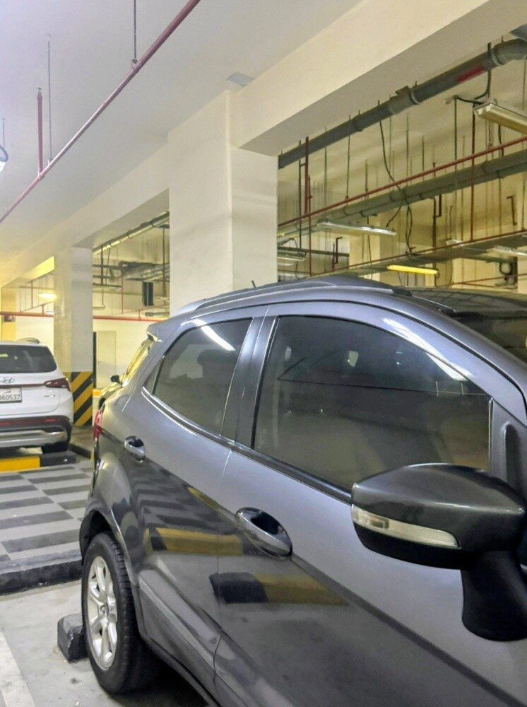 ford echo sports 2020 - 2