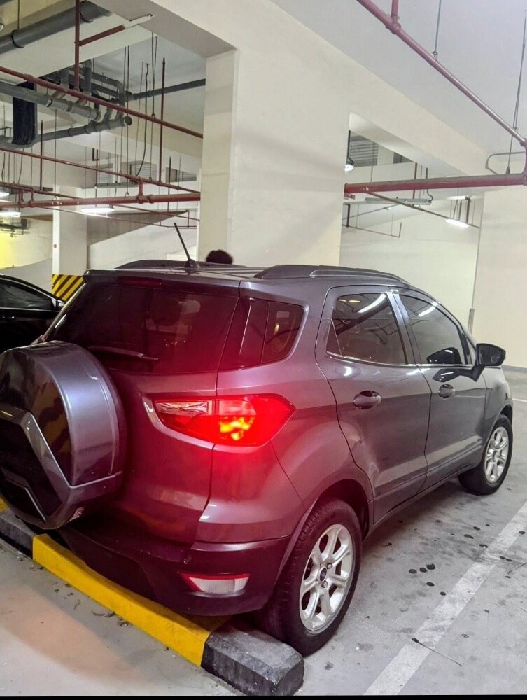 ford echo sports 2020 - 3