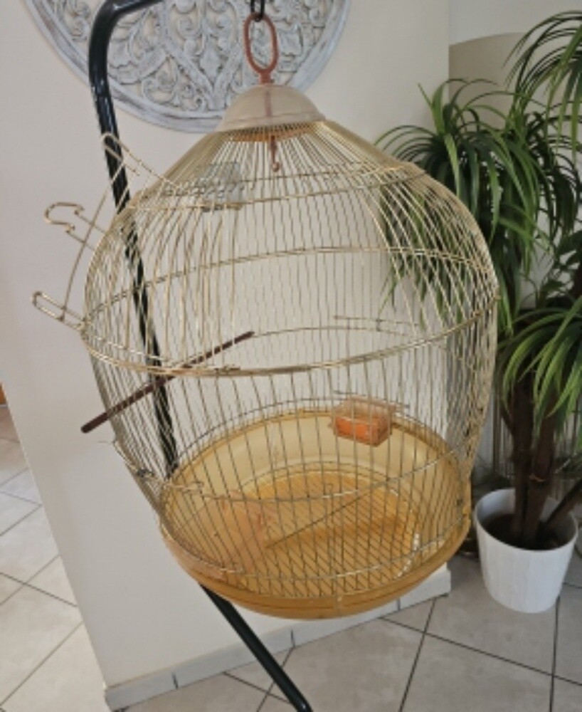 big cage - 2
