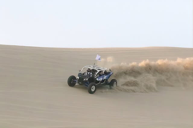 موديل2022 - 10