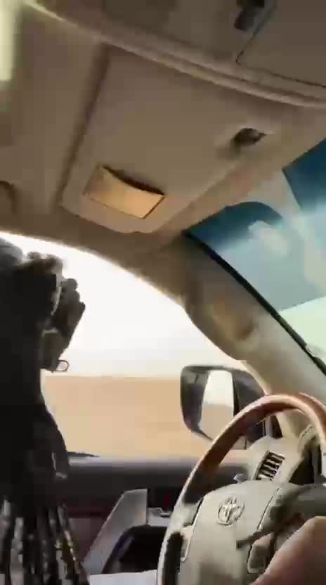 جير شاهين - 5