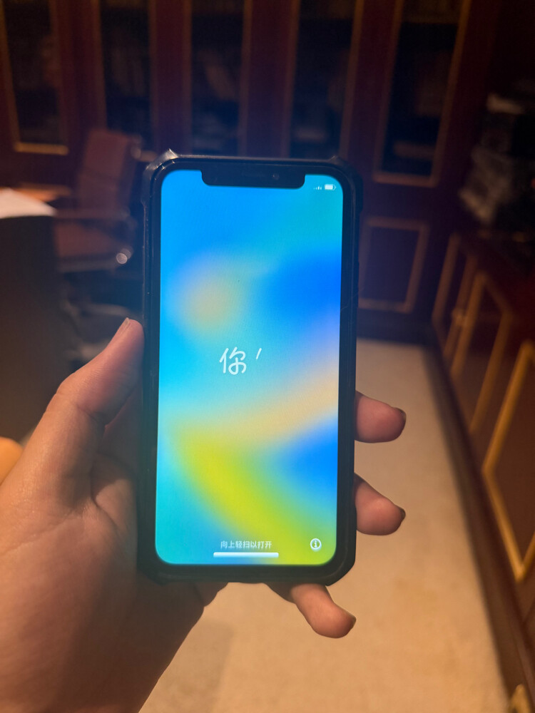 iPhone X - 2